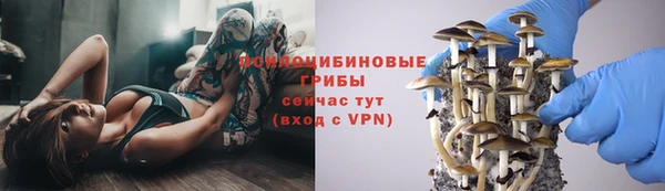 ALPHA PVP Алзамай