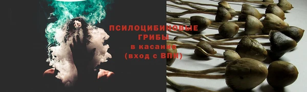 ALPHA PVP Алзамай