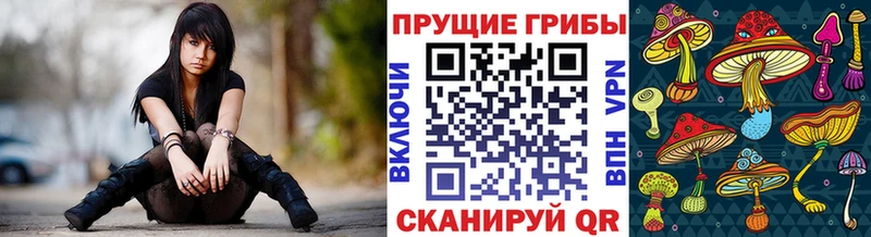 Псилоцибиновые грибы Psilocybe  Кириллов 